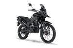 RKS BLACKWOLF