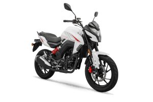 RKS RK250S - Görsel 2