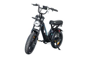 T-BIKE VIFA-Q8