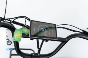 T-BIKE VIFA-Q8 - Görsel 2